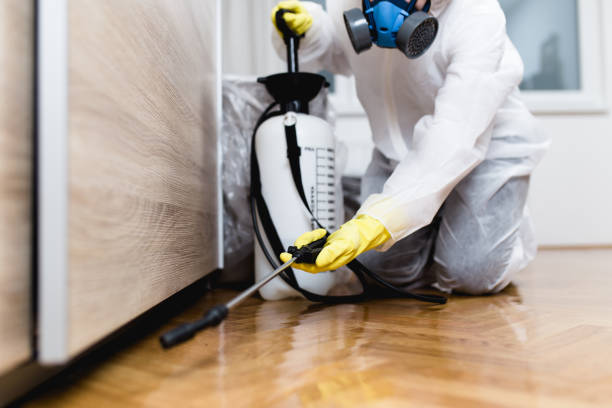 Best Flea Control Services  in Pataskala, OH