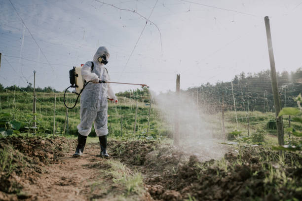 Best Mosquito Control Services  in Pataskala, OH