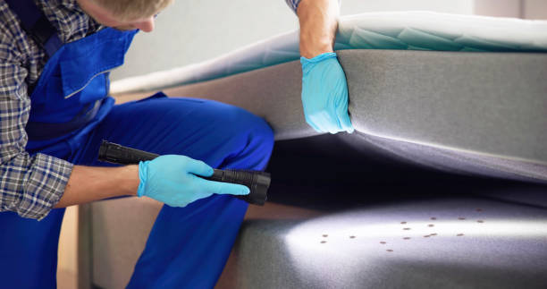 Best Pest Prevention Services  in Pataskala, OH