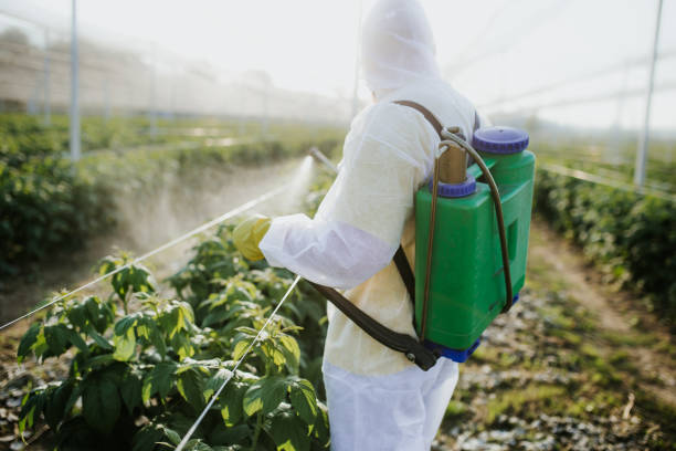 Best Pest Removal Services  in Pataskala, OH